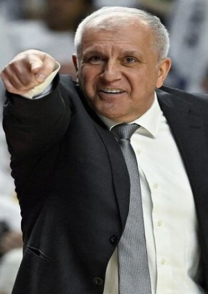obradovic