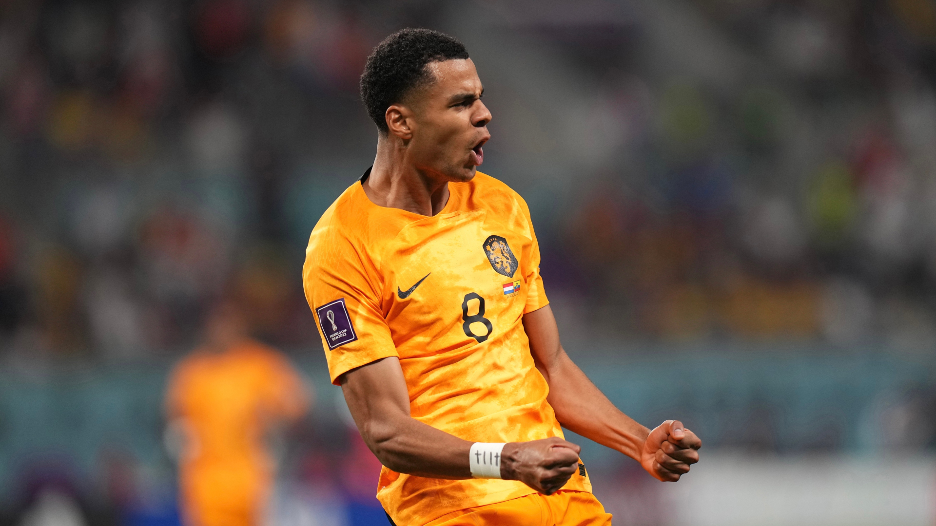 Προγνωστικά Ολλανδία - Καναδάς