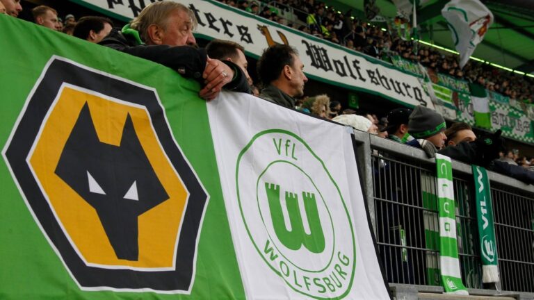 στήριξη-σε-πάσης-φύσεως-λύκους-36494