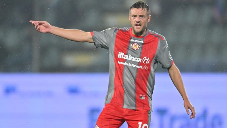 ντομάτες-και-κοτομπουκιές-72280