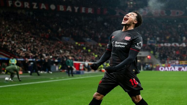 σκληρά-καρύδια-οι-καφετί-προτιμότε-75281